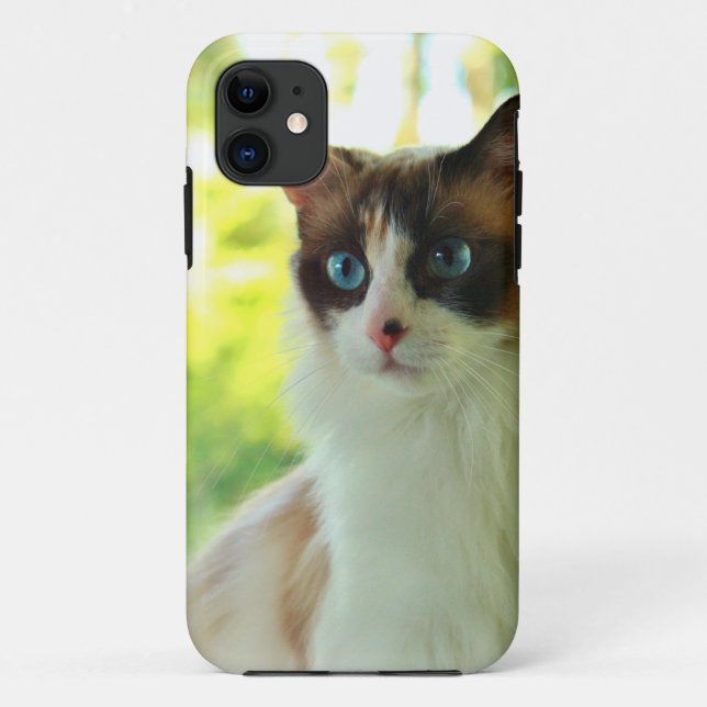 Gatinho Calico Ragdoll Capas de telefone e peles p (Verso)