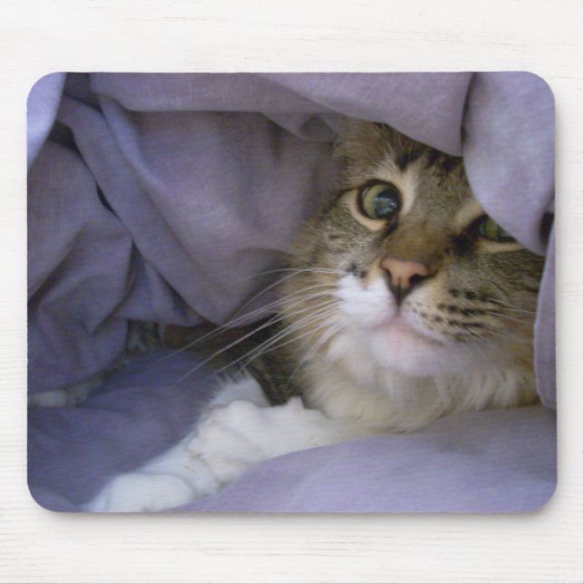 Gatinho coberto Mousepad (Frente)