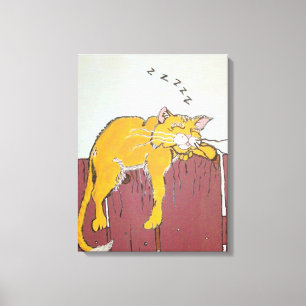 Gatinho de dormir na Canvas