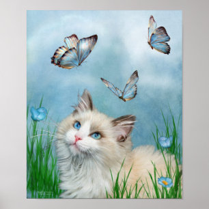 Gatinho de Ragdoll e poster da arte das