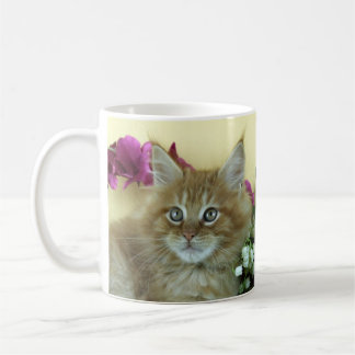 Gatinho do racum de Maine da caneca