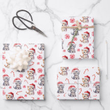 Gatinho elegante doce doce Natal