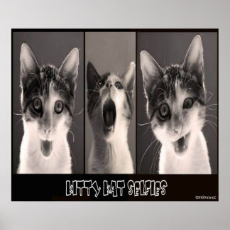 Gatinho Kat Selfy Poster