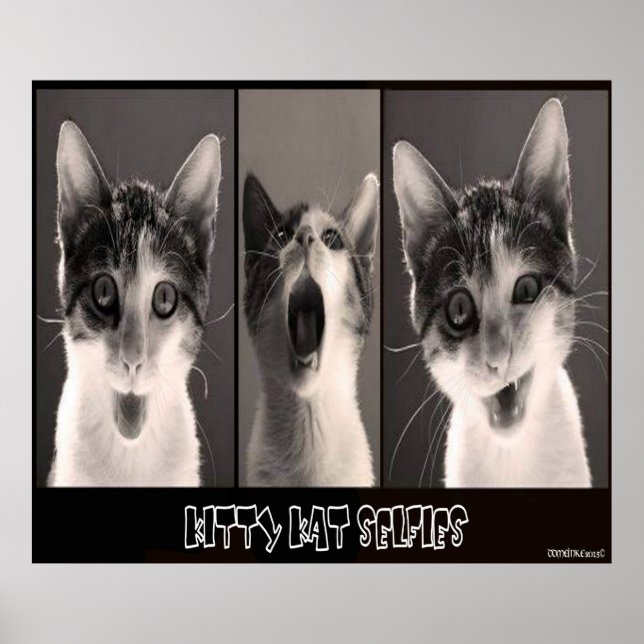 Gatinho Kat Selfy Poster (Frente)