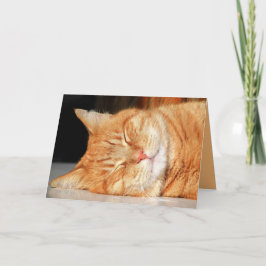Gatinho Laranja Fofo Cartão Personalizável