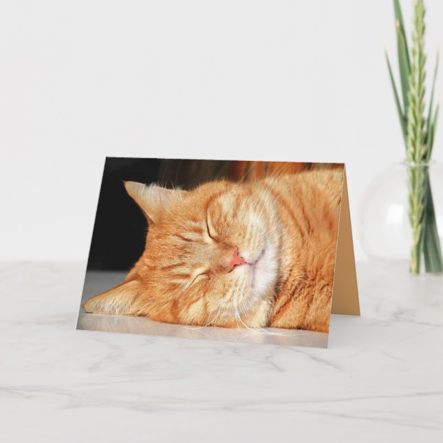 Gatinho Laranja Fofo Cartão Personalizável (Frente)