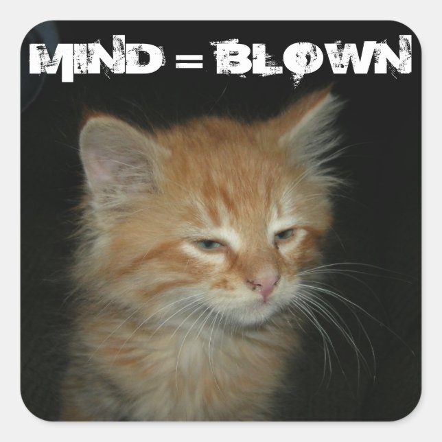 Gatinho "MIND = BLOWN" Adesivos - Conjunto 20 (Frente)