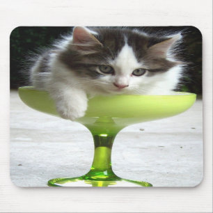 (Gatinho) Mousepad meio cheio