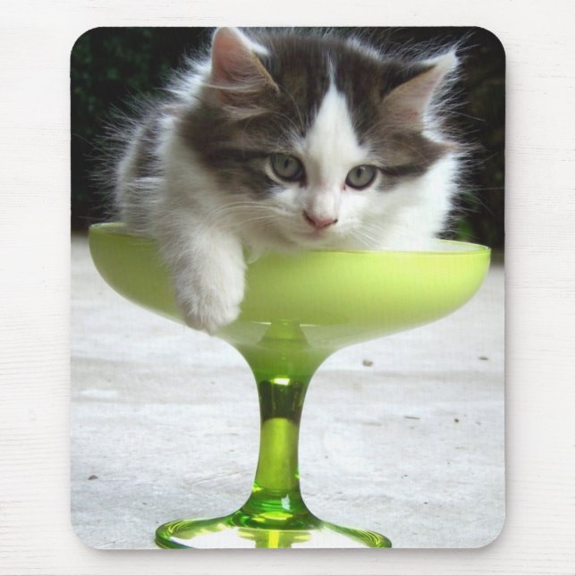 (Gatinho) Mousepad meio cheio (Frente)