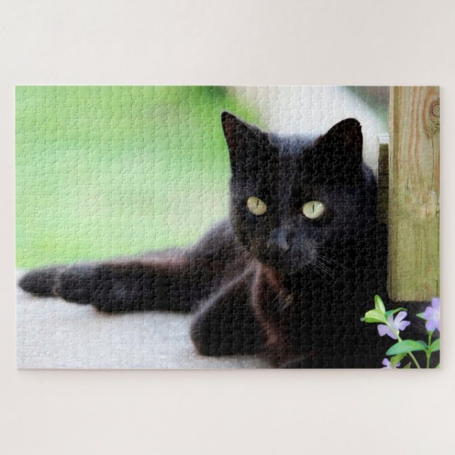 Gatinho Negro, Fato de Gatinho, Quebra-cabeça (Horizontal)