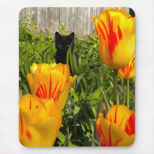 Gatinho Negro no Mousepad do Jardim Tulip (Frente)