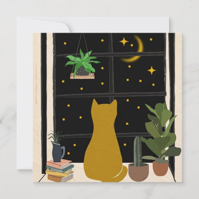 Gatinho noturno (Frente)