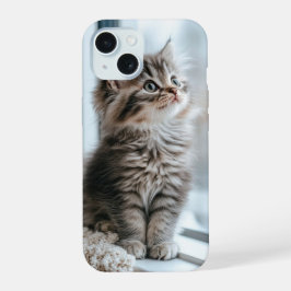 Gatinho olhando pela janela