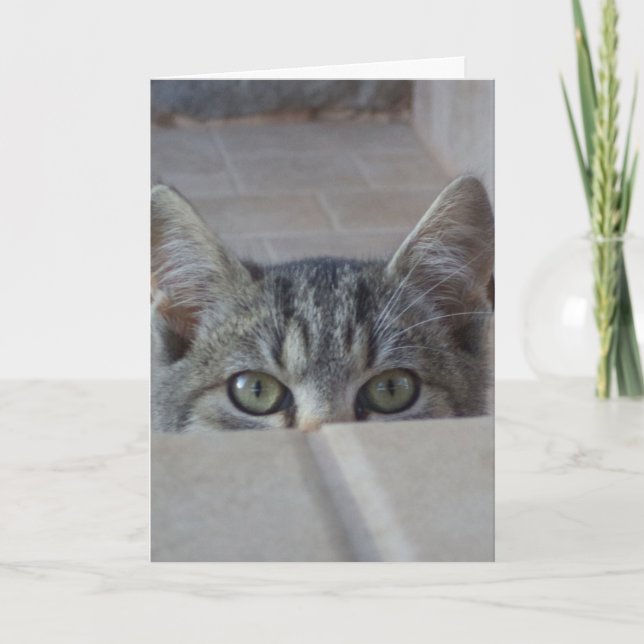 Gatinho peek-a-boo cartão em branco (Frente)
