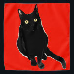 Gatinho Preto - Bandana Vermelha<br><div class="desc">Bandana</div>