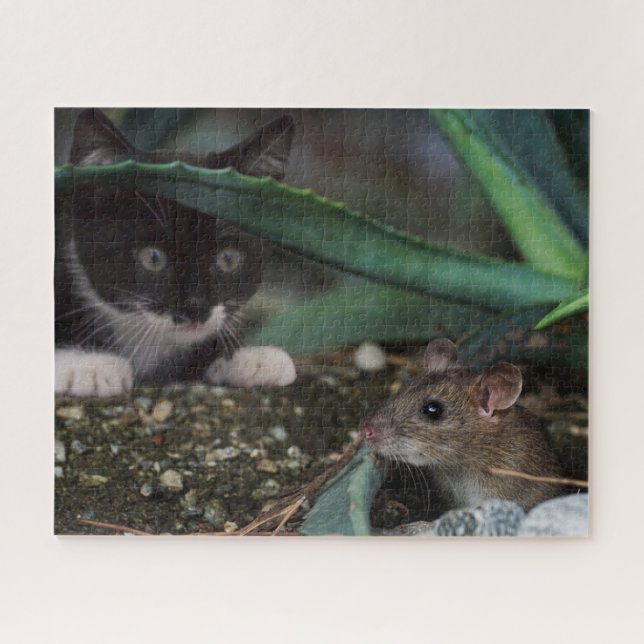 Gatinho preto e branco com Quebra-cabeça de serra  (Horizontal)