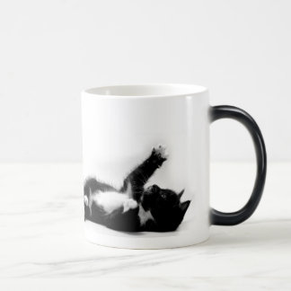 Gatinho preto e branco na caneca em mudança da cor