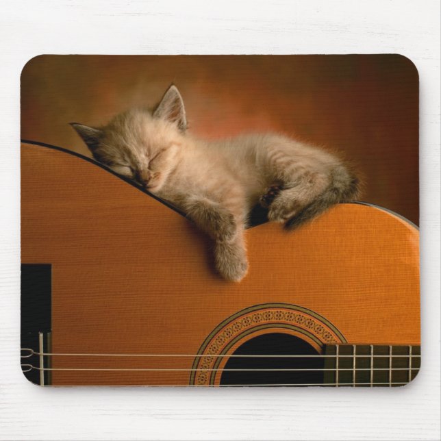 Gatinho que dorme na guitarra Mousepad (Frente)