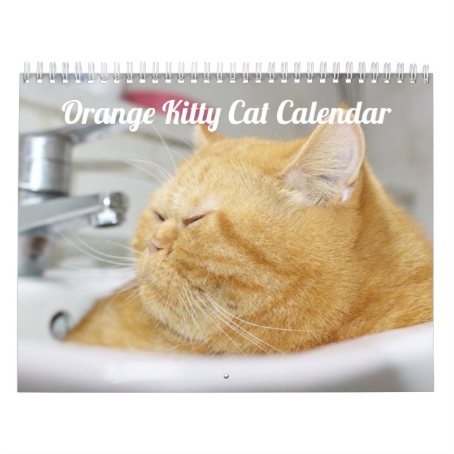 Gatinho Siamês Gatinho Gato - Calendário 2021 (Capa)