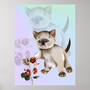 Gatinho Siamese CONTRA o poster do joaninha