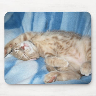 Gatinho sonolento Mousepad