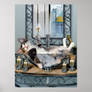 Gatinho Tipsy do poster engraçado do animal de