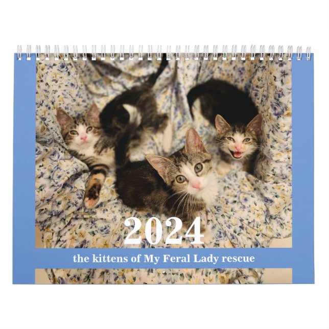 Gatinhos! 2024 Calendário da Minha Senhora Feral K (Capa)