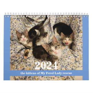 Gatinhos! 2024 Calendário da Minha Senhora Feral K