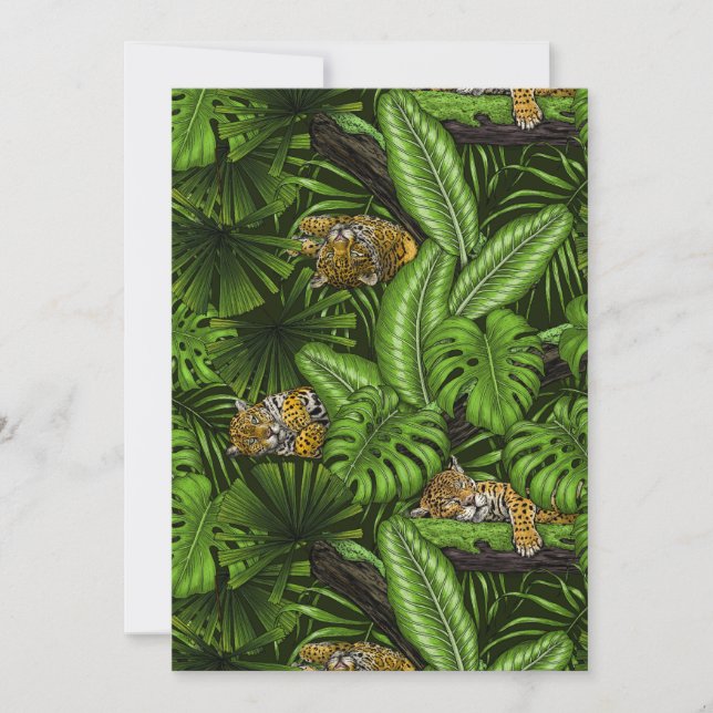 Gatinhos da selva (Frente)