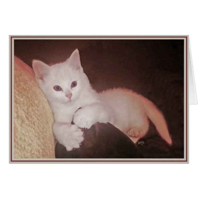 Gatinhos de Cartão PUPs 14 (Frente Horizontal)
