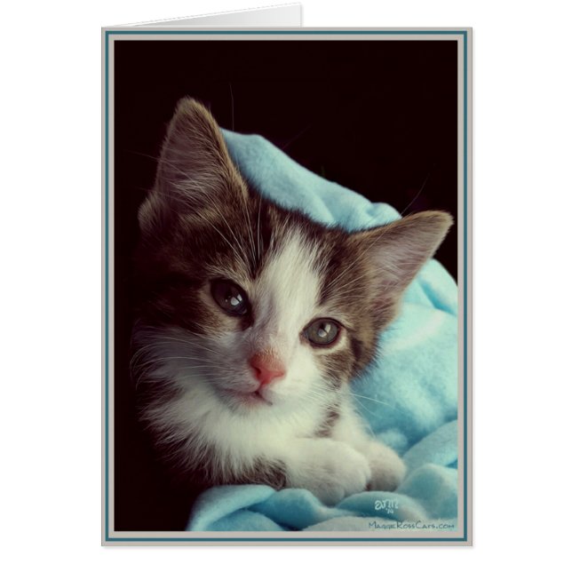 Gatinhos de Cartão PUPs 6 (Frente)