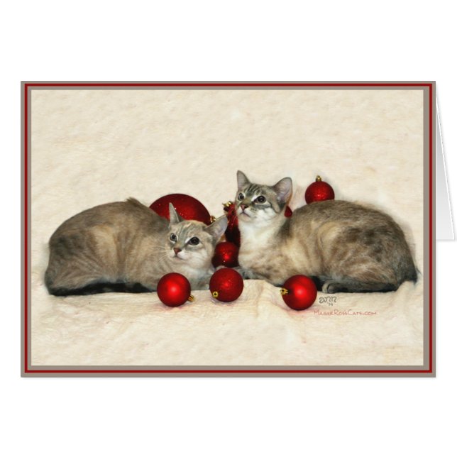 Gatinhos de Cartão PUPs 9 (Frente Horizontal)