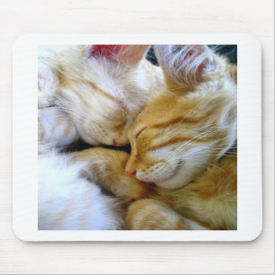 Gatinhos Mousepad do Snuggle