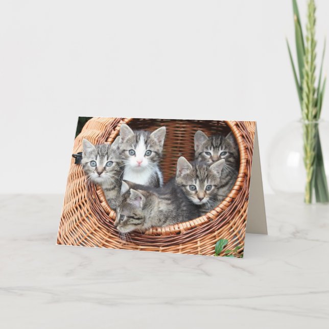 gatinhos num cartão de saudação de cesto (Frente)