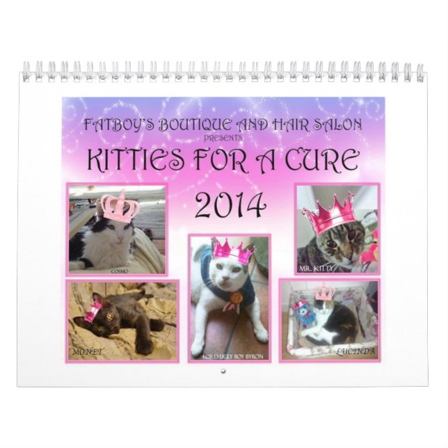 GATINHOS PARA UM CALENDÁRIO 1 2014 DA CURA (Capa)
