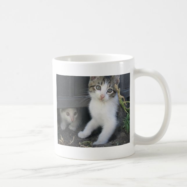 Gatinhos que jogam na caneca da fazenda (Direita)