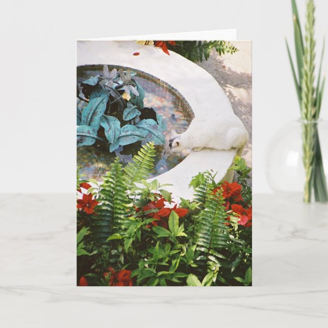 Gato 1 de Hemingway - cartões do cumprimento & de (Frente)