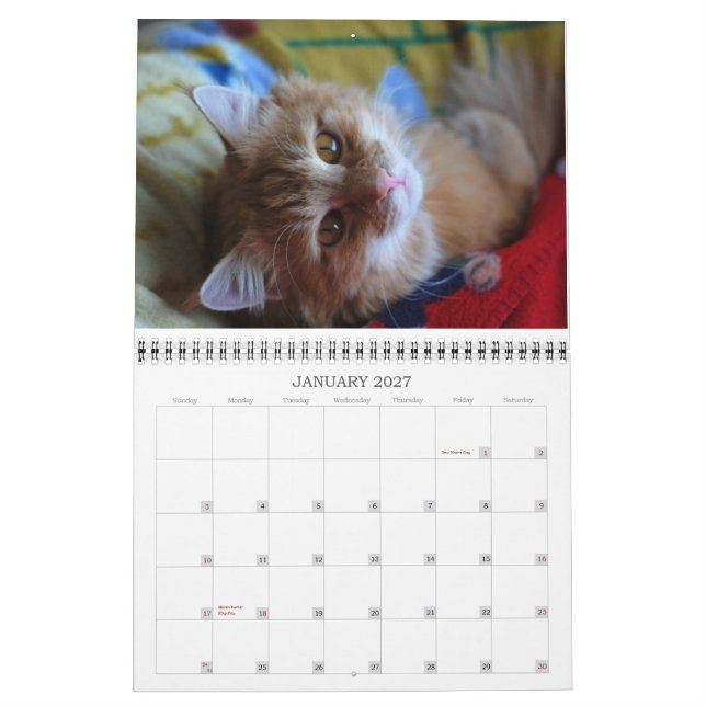 Gato 2012 do calendário (Jan 2027)