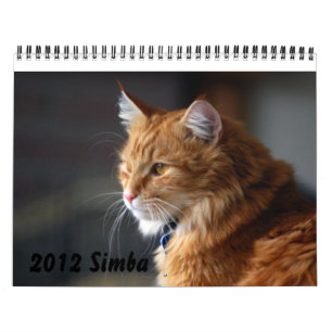 Gato 2012 do calendário