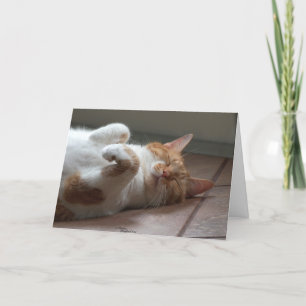 Gato adorável Pensando em você Cartão