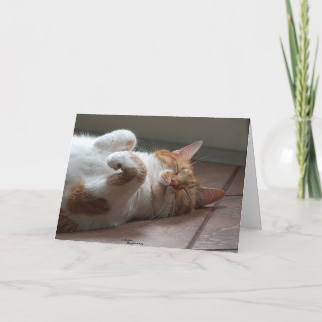 Gato adorável Pensando em você Cartão (Frente)