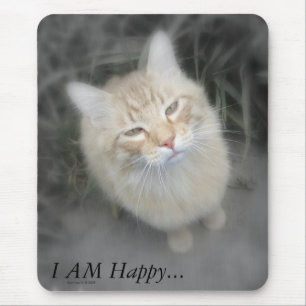 Gato alaranjado cómico Mousepad