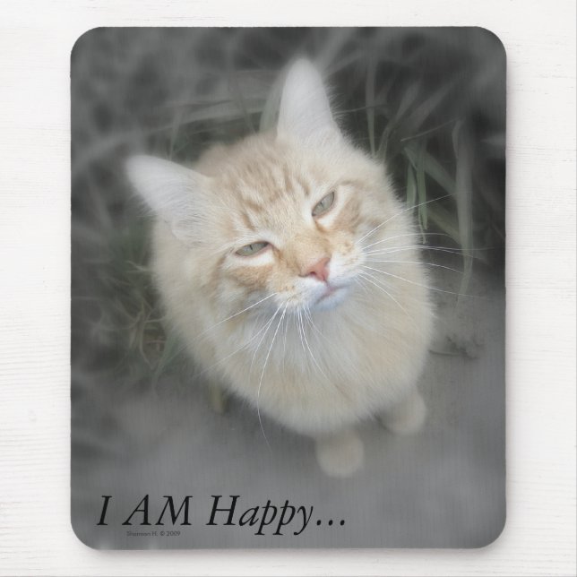 Gato alaranjado cómico Mousepad (Frente)