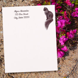 Gato Amante Gato Escoado Cor-de-Rosa Rosa Escovado