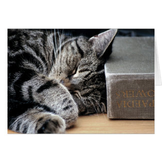 Gato amassado com um bom cartão de livro