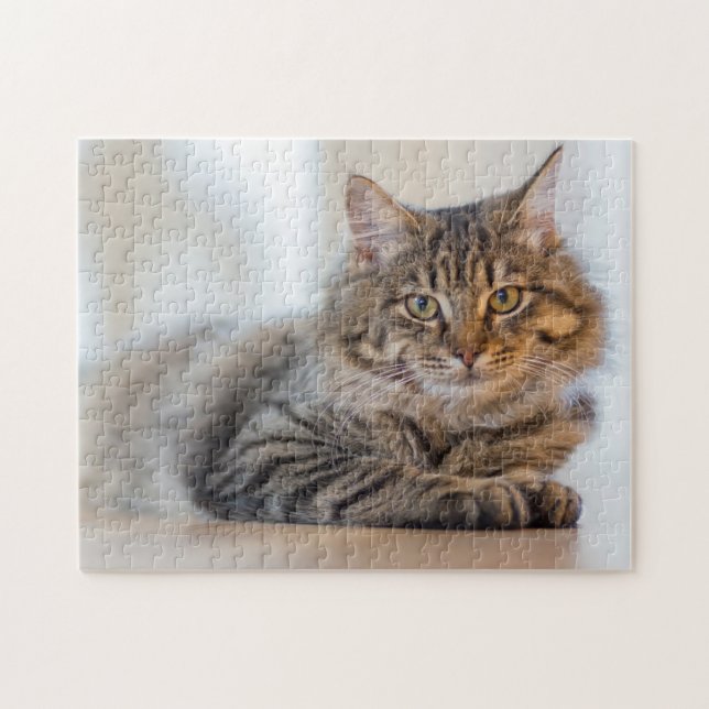 Gato Bonito Olhando Para Você Quebra-cabeça De Jig (Horizontal)