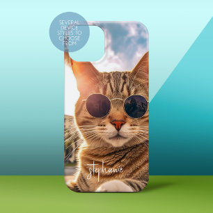 Gato bonito Vestindo óculos escuros em Miami Sun