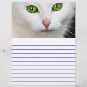 Gato Branco Olhado Verde