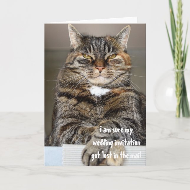 Gato Bravo Julgador Perdeu Convite de Casamento Hu (Frente)