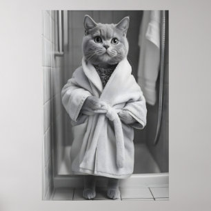 Gato British Shorthair Impressão de Roupão, Engraç